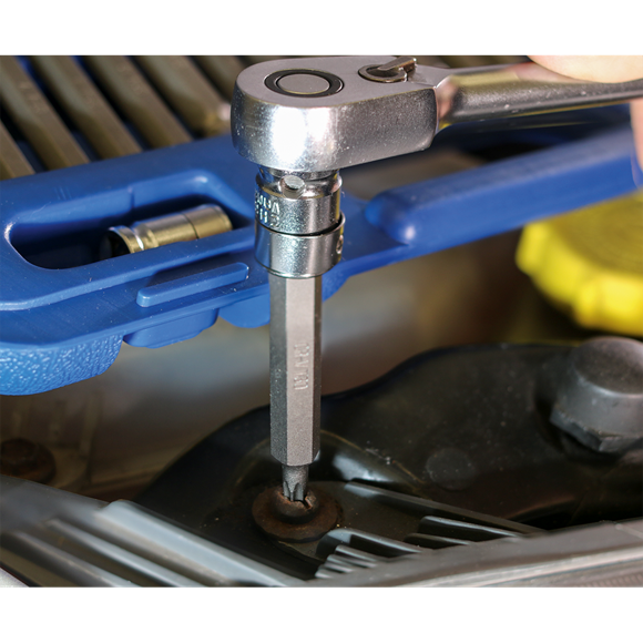 SEALEY AK219 TRX-STAR/SPLINE HEX BIT SET 42PC